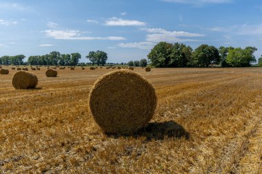 Tahıldan biçilmiş bir tarlada saman balyası.