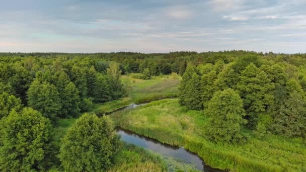 Мала Звивиста Річка Грабойя Центрі Польщі — стокове відео
