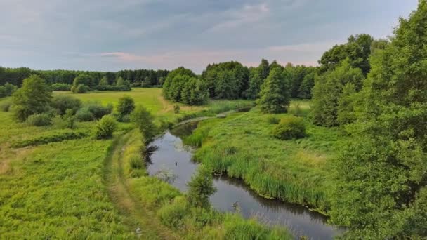 Orta Polonya Daki Küçük Dolambaçlı Grabia Nehri — Stok video