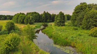 Orta Polonya 'daki küçük dolambaçlı Grabia nehri..