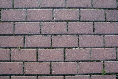 Arkaplan olarak beton kaldırım taşları.