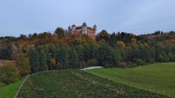 威斯尼茨城堡 波兰瓦维尔之后小波兰最大的城堡 — 图库视频影像