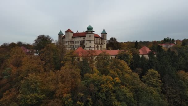 Castello Wisnicz Più Grande Castello Della Piccola Polonia Dopo Wawel — Video Stock