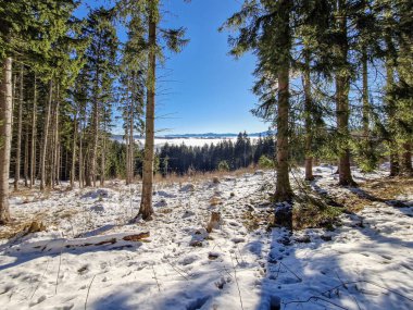 Slovak Tatra Dağlarında kış karla dolu.