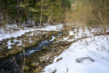 Slovak Tatra Dağlarında kış karla dolu.