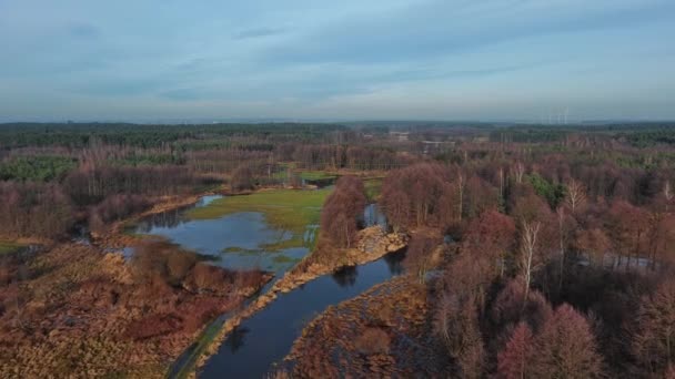 Powódź Niewielkiej Rzeki Grabia Polska — Wideo stockowe