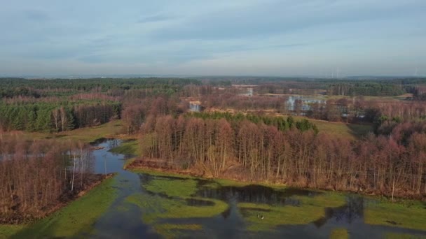 Inondazione Dal Piccolo Fiume Grabia Polonia — Video Stock