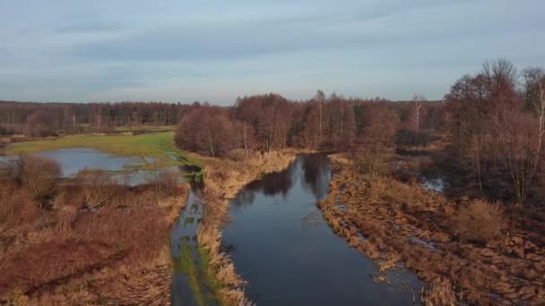 Povodeň Malé Řeky Grabia Polsko — Stock video