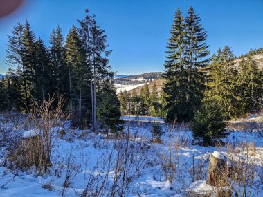 Slovak Tatra Dağlarında kış karla dolu.