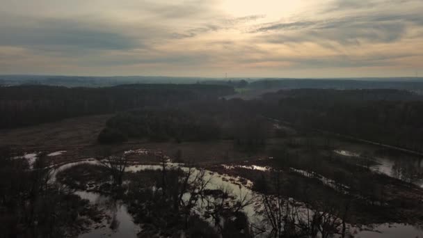 Inondazione Dal Piccolo Fiume Grabia Polonia — Video Stock