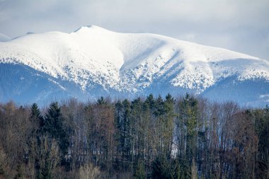 Slovak Tatra Dağlarında kış karla dolu.