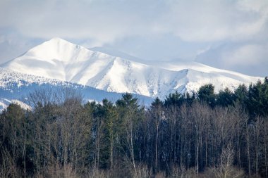 Slovak Tatra Dağlarında kış karla dolu.