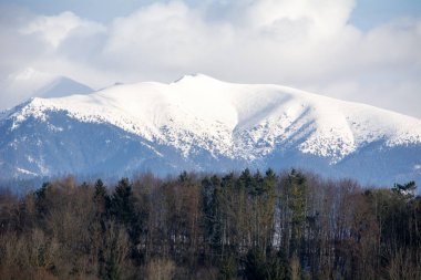 Slovak Tatra Dağlarında kış karla dolu.