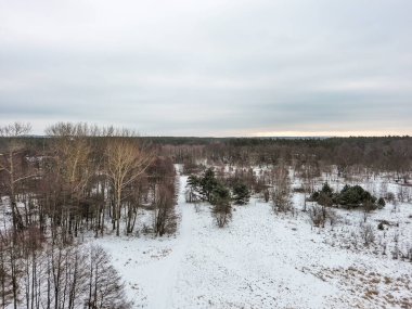 Orta Polonya 'da küçük vahşi bir nehirde kış..