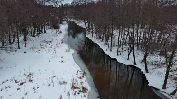 Zima Malé Divoké Řece Středním Polsku — Stock video