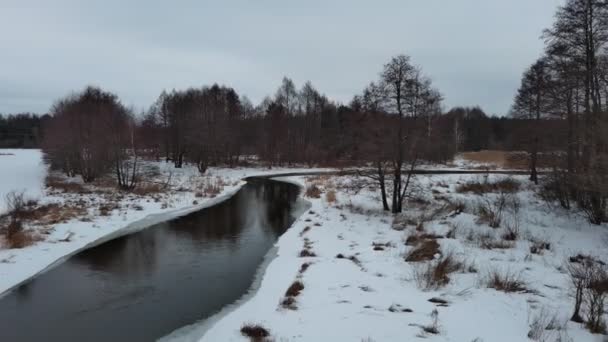 Vinter Liten Vild Flod Centrala Polen — Stockvideo