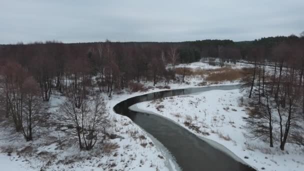 Tél Egy Kis Vad Folyón Közép Lengyelországban — Stock videók
