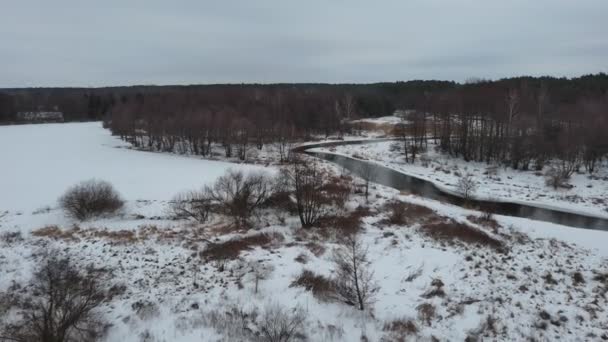 Зима Маленькій Дикій Річці Центрі Польщі — стокове відео