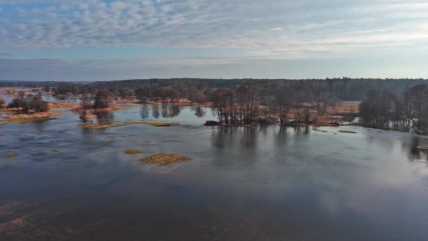 Дикая Бурная Река Центральной Польше — стоковое видео