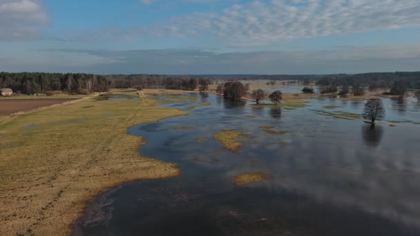 Vild Och Forsande Flod Centrala Polen — Stockvideo