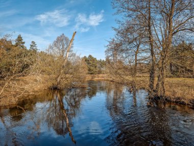 Polonya 'daki küçük Grabia nehrinin ilk baharı.