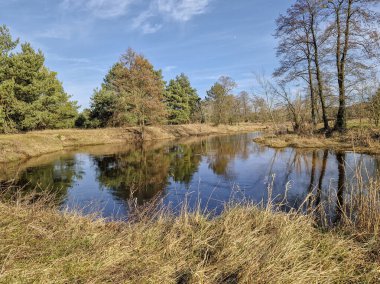 Polonya 'daki küçük Grabia nehrinin ilk baharı.
