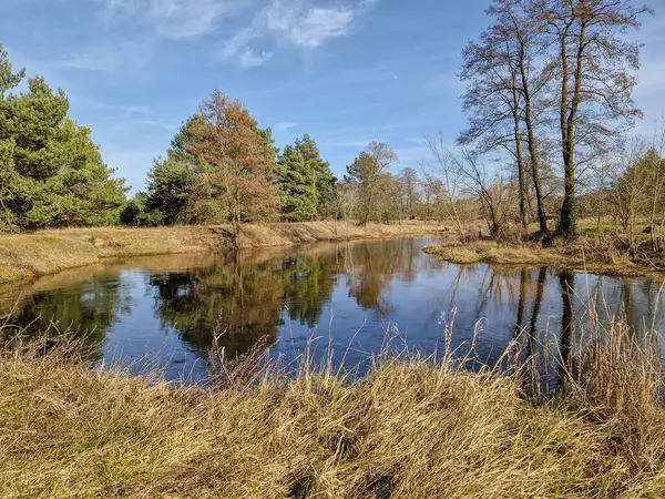 Polonya 'daki küçük Grabia nehrinin ilk baharı.
