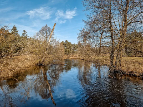 Polonya 'daki küçük Grabia nehrinin ilk baharı.