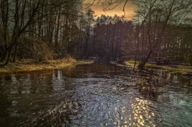 Batan güneşin ışığında küçük bir nehir, Polonya.