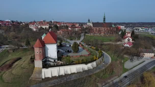 Kasteel Kathedraal Basiliek Stad Sandomierz Polen — Stockvideo