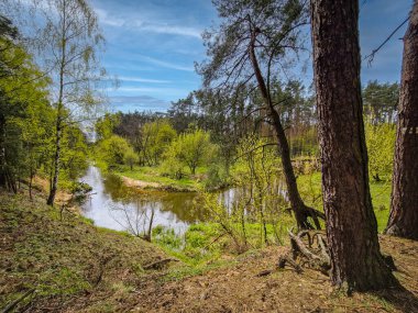 Orta Polonya 'da küçük vahşi bir nehir..