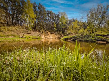 Orta Polonya 'da küçük vahşi bir nehir..