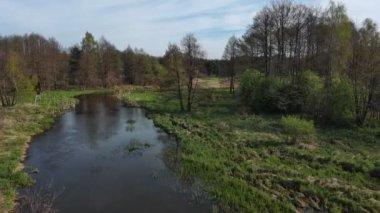 Orta Polonya 'da küçük vahşi bir nehir..