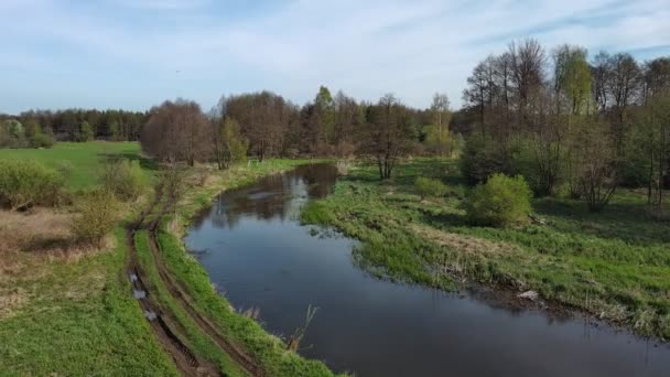 Ένα Μικρό Άγριο Ποτάμι Στην Κεντρική Πολωνία — Αρχείο Βίντεο