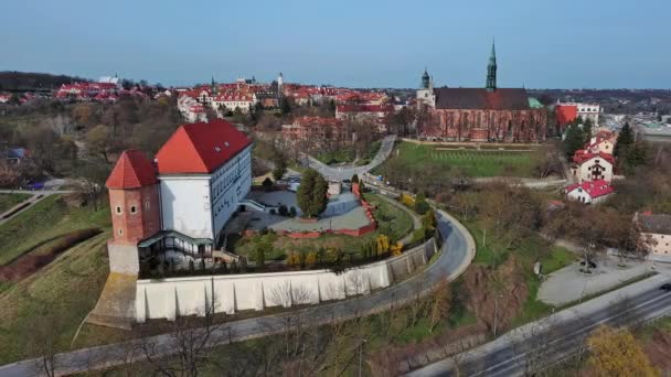 ポーランドのサンドミシュの城と大聖堂のトップビュー — ストック動画