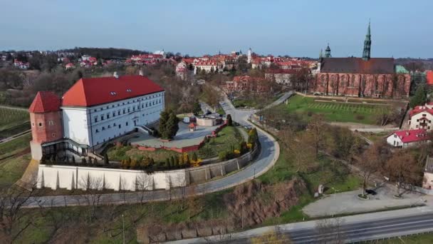 Top View Castle Cathedral Sandomierz Lengyelország — Stock videók