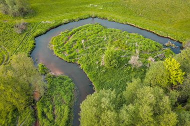 Orta Polonya 'da küçük vahşi bir nehir..