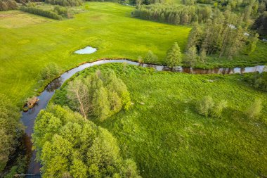 Orta Polonya 'da küçük vahşi bir nehir..