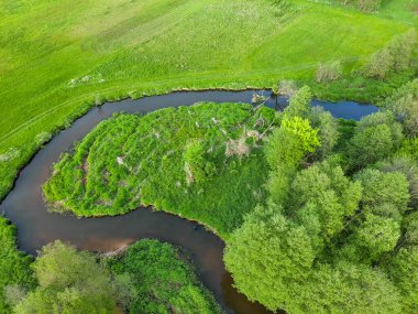Orta Polonya 'da küçük vahşi bir nehir..