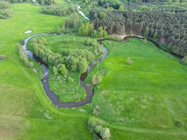 Orta Polonya 'da küçük vahşi bir nehir..