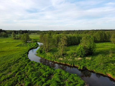 Orta Polonya 'da küçük vahşi bir nehir..