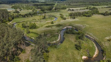 Orta Polonya 'da küçük vahşi bir nehir..
