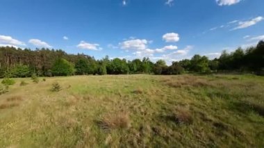 Bahar havası ve yeşil doğa alçaktan uçuyor..