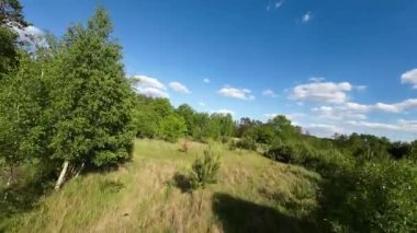 Bahar havası ve yeşil doğa alçaktan uçuyor..