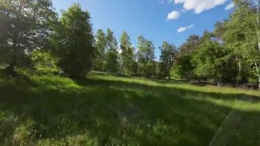 Bahar havası ve yeşil doğa alçaktan uçuyor..