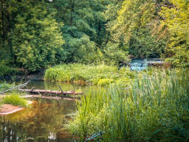 Orta Polonya 'daki küçük ve vahşi Grabia nehri..