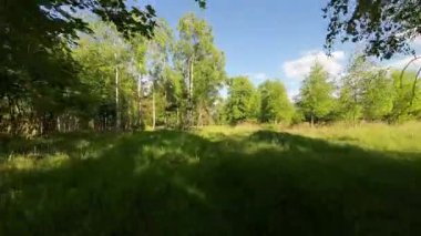 Alçak ve hızlı FPV insansız hava aracı tarlaları ve çayırlarda uçuyor..