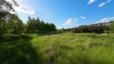 Alçak ve hızlı FPV insansız hava aracı tarlaları ve çayırlarda uçuyor..