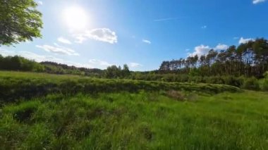 Alçak ve hızlı FPV insansız hava aracı tarlaları ve çayırlarda uçuyor..