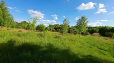 Alçak ve hızlı FPV insansız hava aracı tarlaları ve çayırlarda uçuyor..